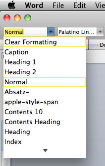 Microsoft Word Style menu