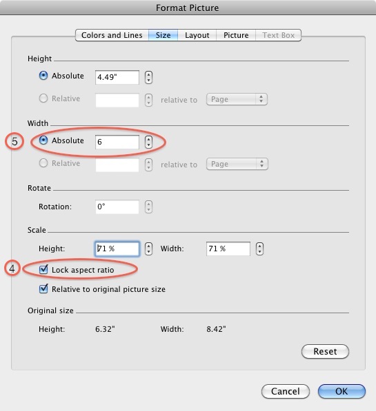 Sizing an image in Word