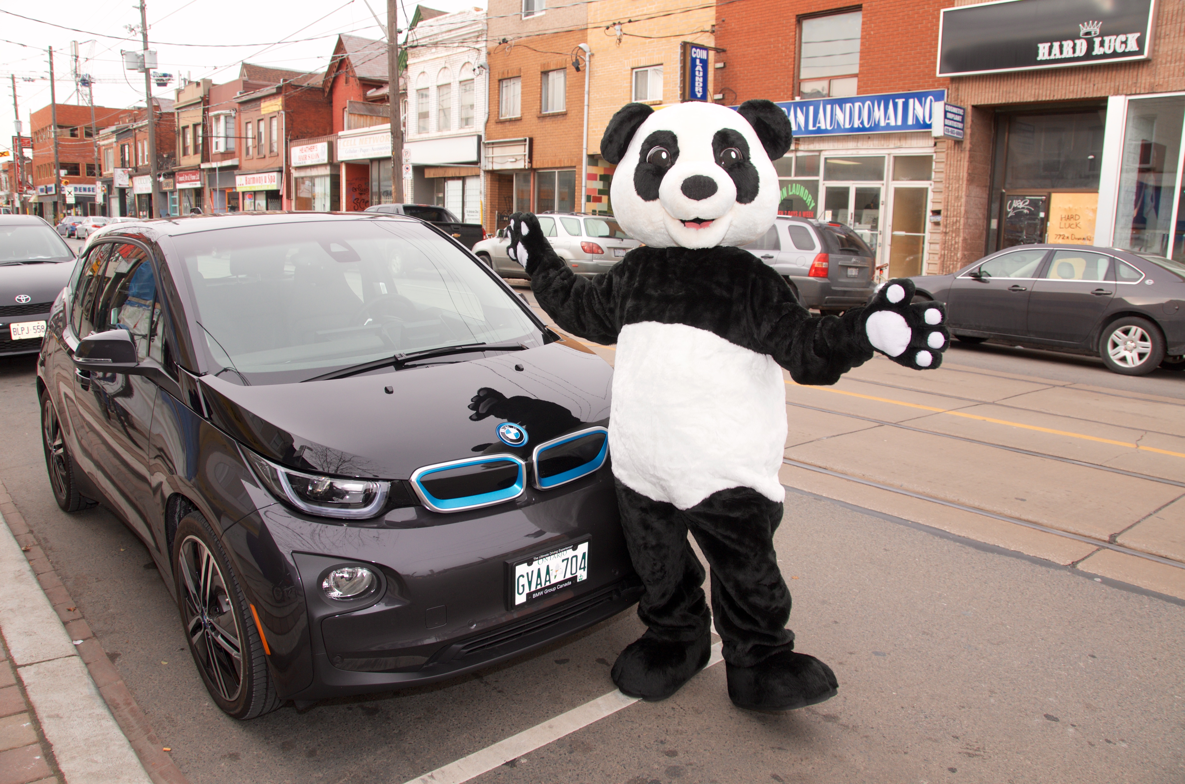 I don't think he drove the car to the restaurant. Photo courtesy WWF Canada.